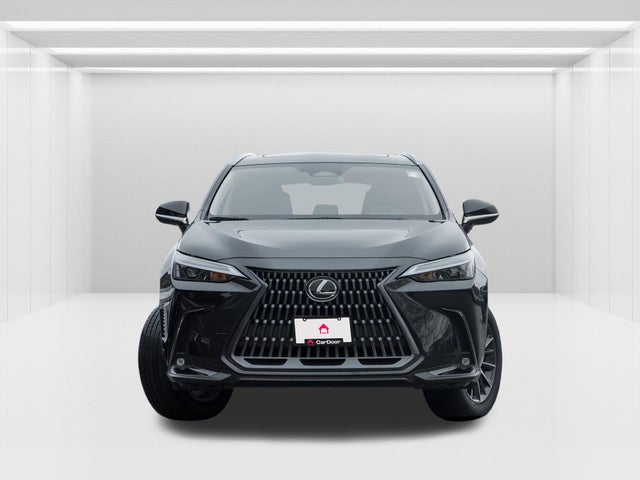 2024 Lexus NX