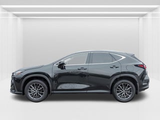 2024 Lexus NX