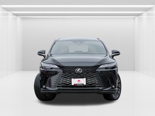 2025 Lexus RX