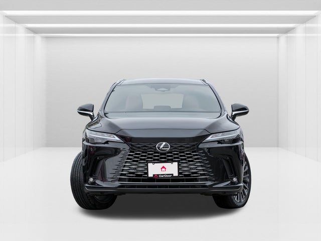 2025 Lexus RX