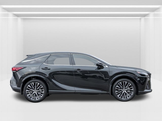 2025 Lexus RX