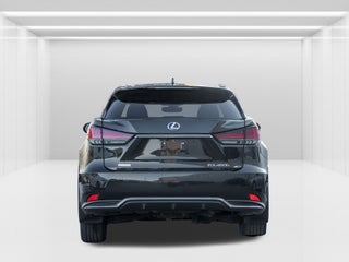 2021 Lexus RX