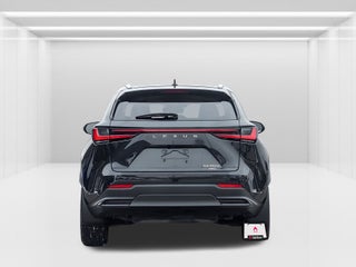2022 Lexus NX