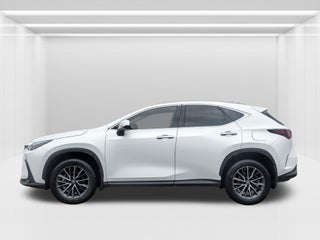 2023 Lexus NX