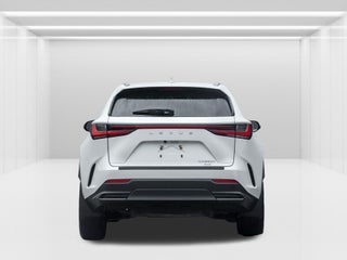 2023 Lexus NX
