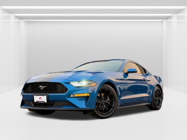 2019 Ford Mustang