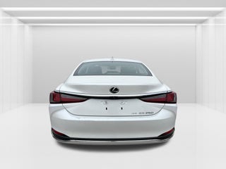 2021 Lexus ES250