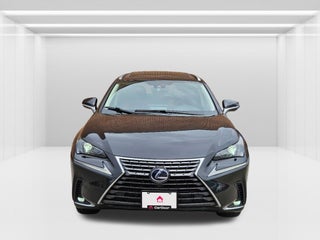 2020 Lexus NX