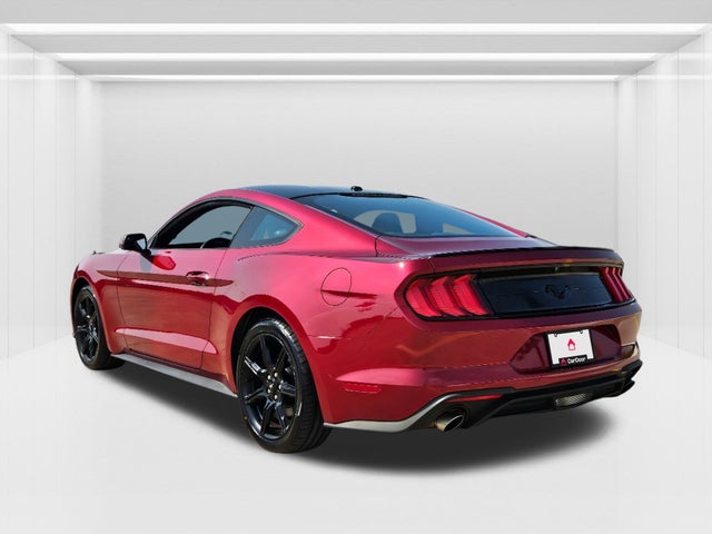 2019 Ford Mustang