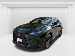 2024 Lexus NX