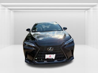 2024 Lexus NX