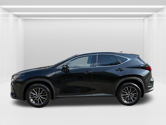2024 Lexus NX