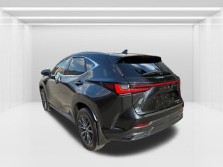 2024 Lexus NX