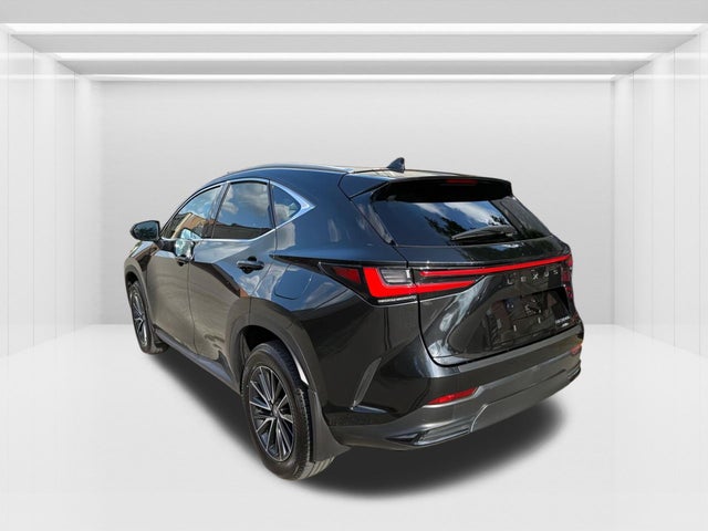 2024 Lexus NX