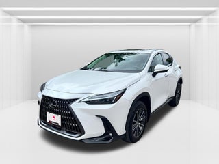 2024 Lexus NX