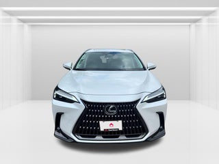 2024 Lexus NX