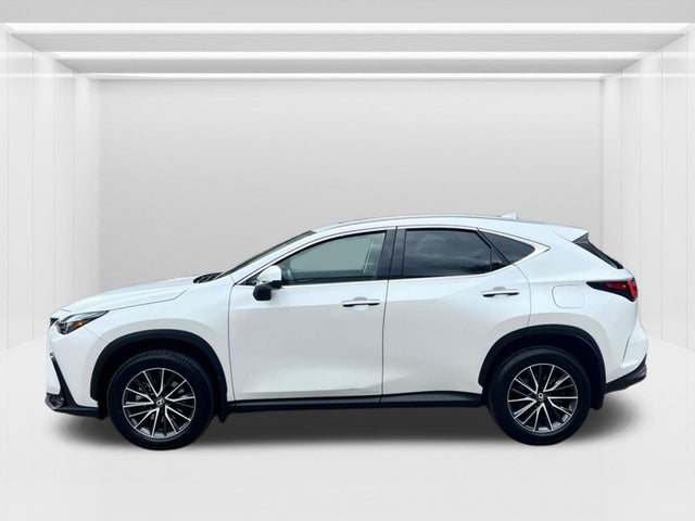 2024 Lexus NX
