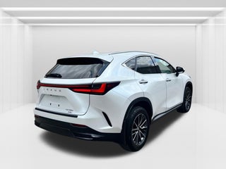 2024 Lexus NX