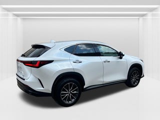 2024 Lexus NX