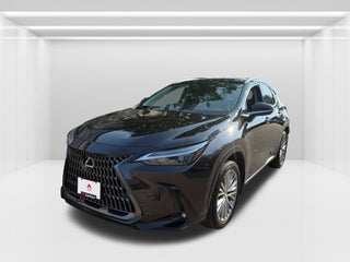 2024 Lexus NX