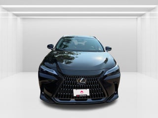2024 Lexus NX