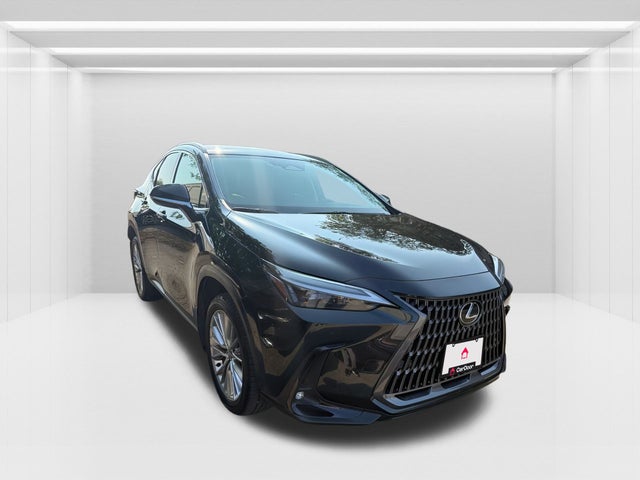 2024 Lexus NX