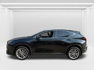 2024 Lexus NX