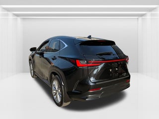 2024 Lexus NX