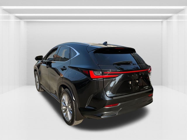 2024 Lexus NX
