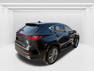 2024 Lexus NX
