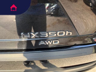 2024 Lexus NX