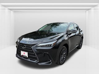 2024 Lexus NX