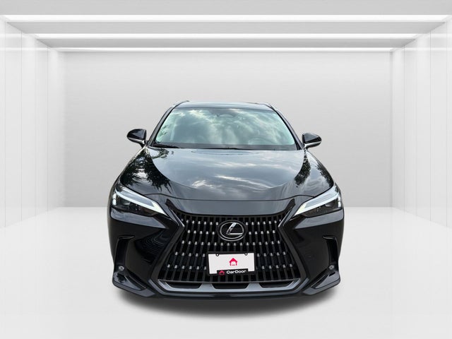 2024 Lexus NX