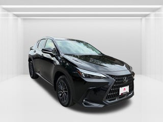 2024 Lexus NX