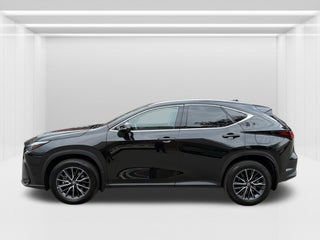 2024 Lexus NX