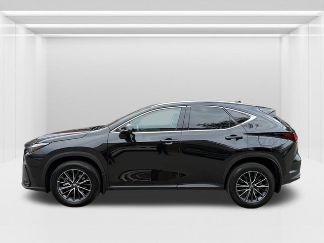 2024 Lexus NX