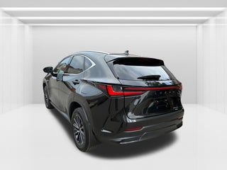 2024 Lexus NX