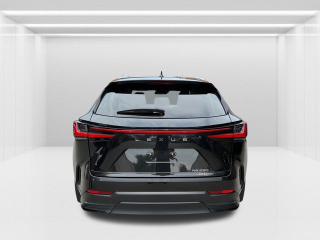 2024 Lexus NX