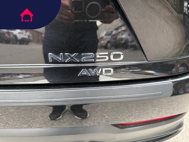 2024 Lexus NX