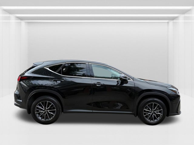 2024 Lexus NX