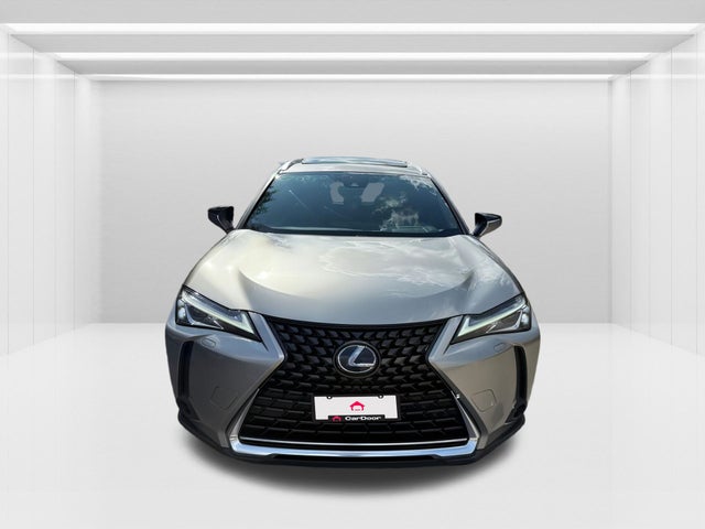 2019 Lexus UX