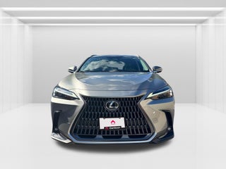 2022 Lexus NX