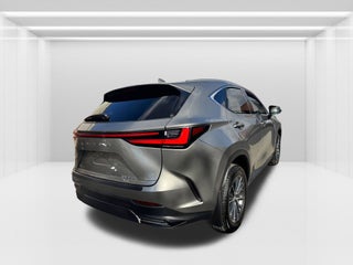 2022 Lexus NX