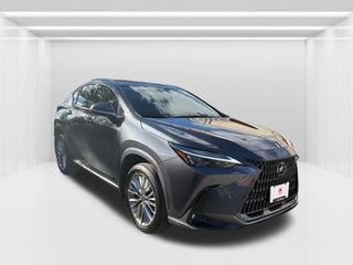 2022 Lexus NX