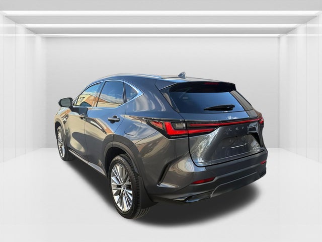 2022 Lexus NX