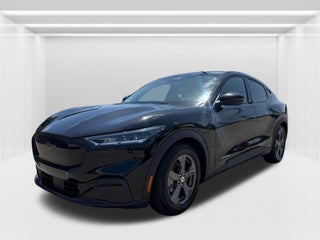 2021 Ford Mustang Mach-E