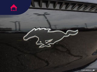 2021 Ford Mustang Mach-E
