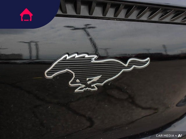 2021 Ford Mustang Mach-E
