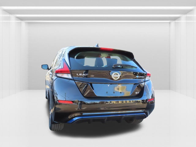 2019 Nissan LEAF