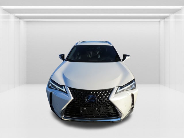 2020 Lexus UX